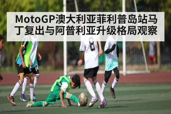 MotoGP澳大利亚菲利普岛站马丁复出与阿普利亚升级格局观察 | Wending